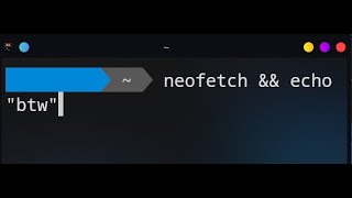 What I feel like when using neofetch (I use Arch btw)