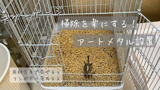 【デグー】床材掃除が楽になりました！degu