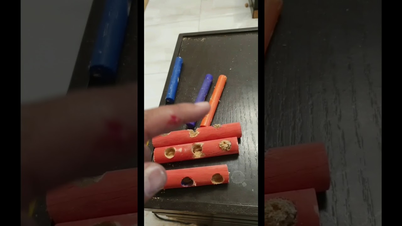 صنع لعبة للطيور بأدوات منزلية