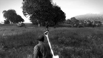 DayZ Standalone - When you meet another player for the first time...