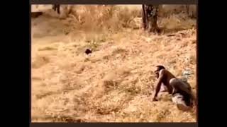 Trotro driver pretends to be mad after crashing into a Range Rover screenshot 4