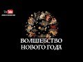 Волшебство и энергетика Нового года. Как встретить Новый год. Соляр