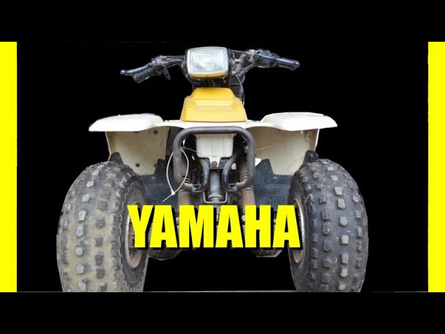 アクセルはレバー式 レバースロットル ヤマハ YF100M エンジン始動