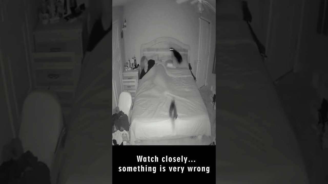 Cats Go CRAZY at Midnight… She Woke Up Terrified 😱 