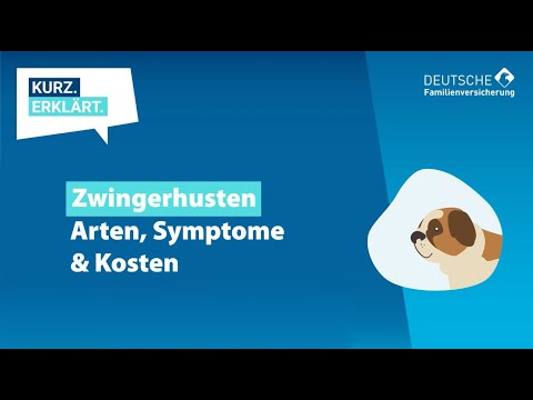 Video: Komplikationen beim Zwingerhusten