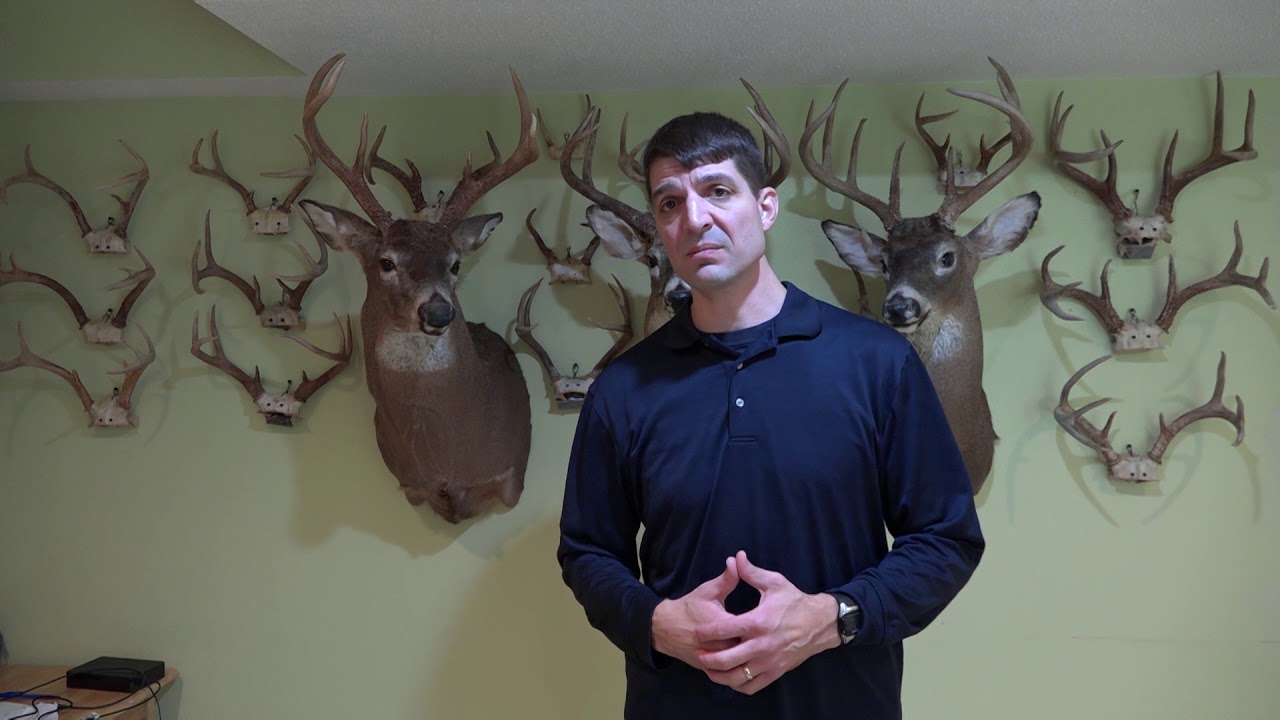 Early season deer behavior YouTube