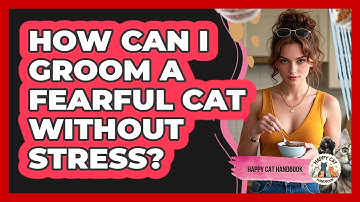 How Can I Groom A Fearful Cat Without Stress? - Happy Cat Handbook