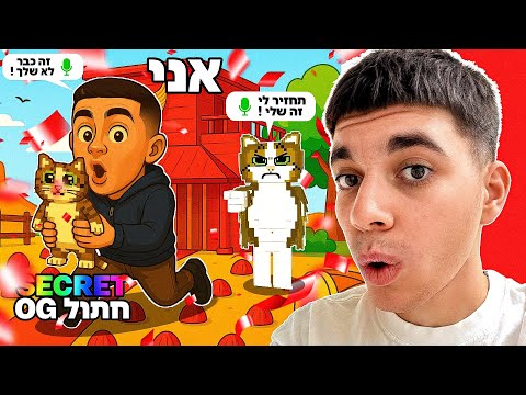 שיחקתי באיוונט האינדונזיה בסטיל הבריינרוט סמי הגזים הפעם 