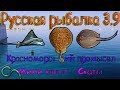 Русская рыбалка 3.9. Красноморский промысел. Мини квест - скаты.