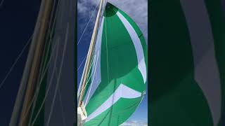 Rob Roy 23 Sailboat Flying the Asymmetric Spinnaker