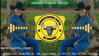 MODÃO SERTANEJO 2026 - SÓ OS MELHORES DO SERTANEJO ((ANDREYZINHO COSTA))