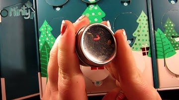 Davids Tea Advent - 2014 - Day 24 Finale!