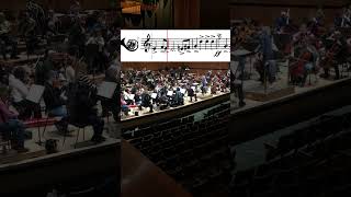 Tchaikovsky: Symphony No. 1 – Movement 2 (Excerpt) #frenchhorn #tchaikovsky #classicalmusic