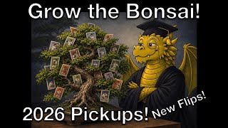 2026 Pickups & New Flips!