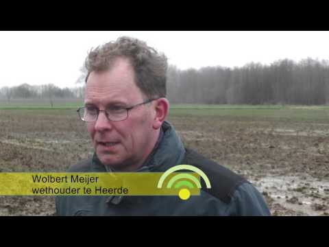 Eerste kievitsei in Heerde b 20 maart 2017