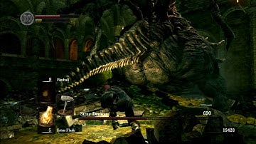 SL1 No rolling/sprinting/blocking/parrying Stray Demon