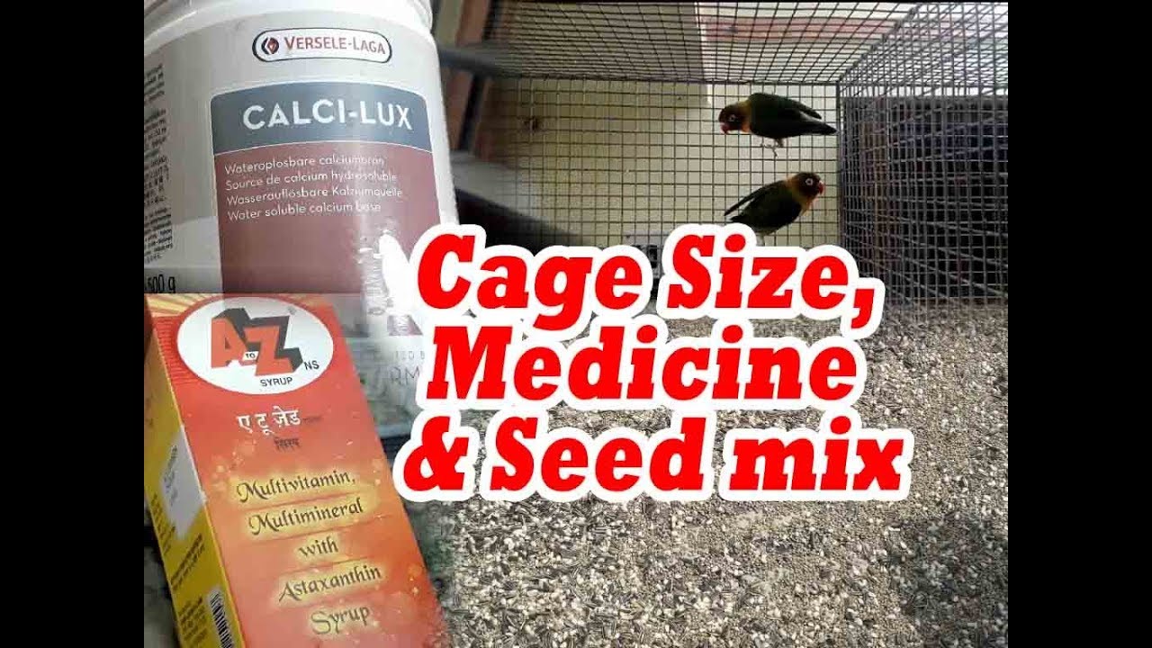CAGE SIZE, MEDICINE & SEED MIX IN MY ALL BIRDS (KOLKATA LOVEBIRDS