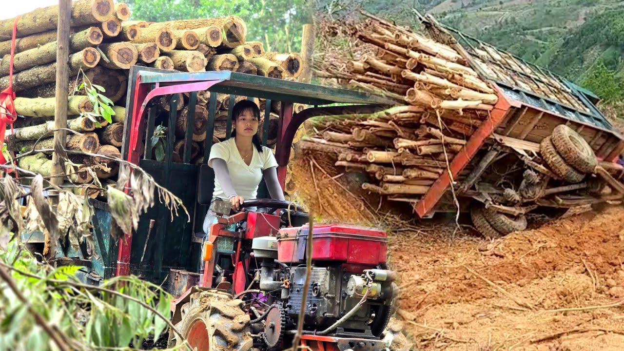 Full video: 100 days of female wood transport driver going through dangerous roads &Vietnamese girl 