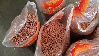 Peanut Color Sorter Machine-Color Sorting Video in Customer's factory