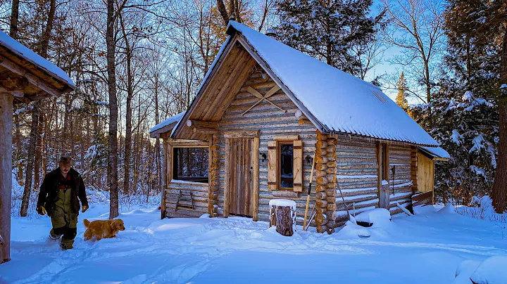Permanent Link to A New Beginning | Sauna Location, Logs, Workshop Build, Bear Chops on the Campfire