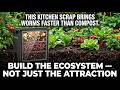 This One Kitchen Scrap Brings Worms Faster Than Compost