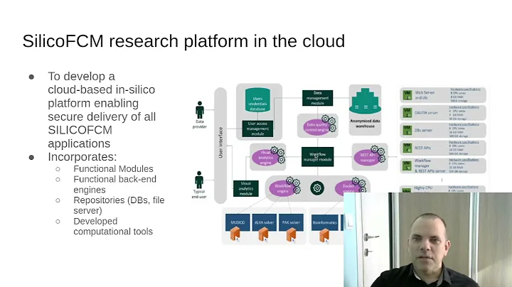 Use of CWL workflows in the SILICOFCM project - Practical Experiences