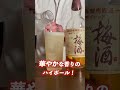 サントリー山崎から梅酒が登場!?ウイスキー樽が香る梅酒飲み比べてみた #PR #サントリー #山崎蒸溜所貯蔵梅酒 #ウイスキー #shorts