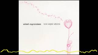 Orient Expressions – Ne Olur Geri Dönme (Kırık Kalpler Albümü/Record Of Broken Hearts - 2008) Resimi