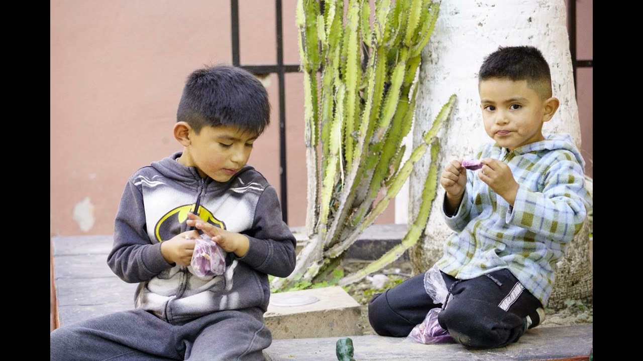 Familia 17 Enero 2026