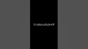 #القران_الكريم #قرآن #سورة_الانفال #ياسر_الدوسري الآيه 6 ☘️🩶 .