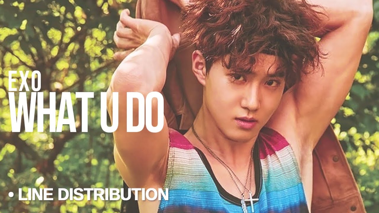 EXO (엑소) - What u Do? : Line Distribution (Color Coded)