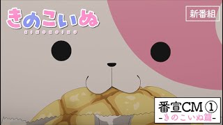 YouTube影片, 內容是香菇犬 的 播出時間宣傳影片（きのこいぬ篇）