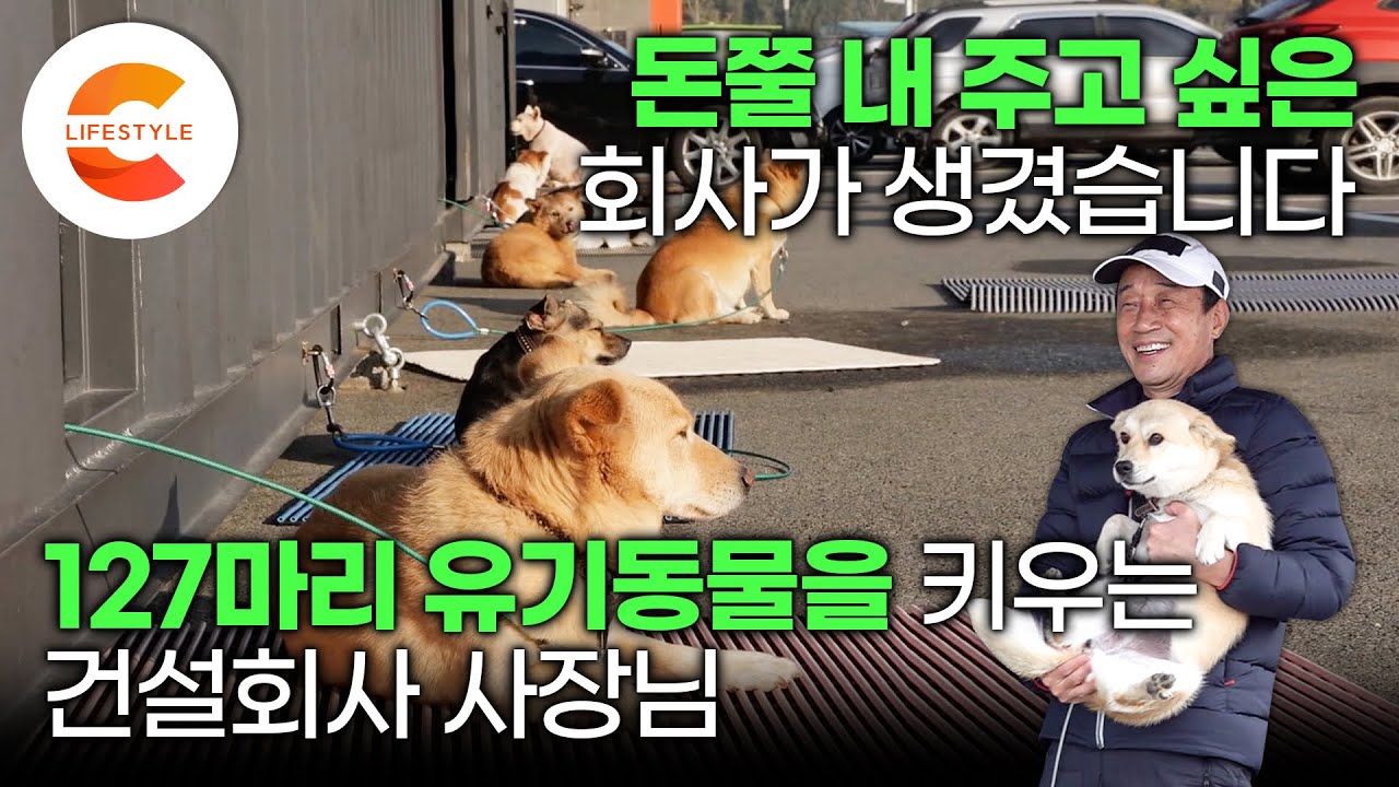 건설 회사에 동물 돌보는 직원이 20명? 진짜 이런 사람이 존재한다고요? ‘연 비용 15억’ 127마리 유기동물을 데려와 보살피는 건설회사 사장님🦮ㅣ#세나개