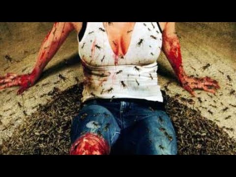 فيلم الاثاره والمتعه النمل المتوحش فقط 18