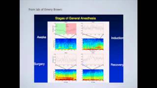 The Carl Morris Honorary Symposium on LARGE-SCALE  DATA INFERENCE - Robert Kass Presentation
