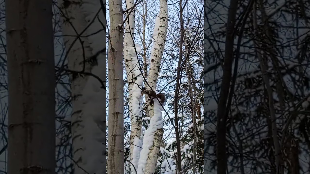 Забрала половинку и подальше от всех 