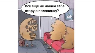 МЕМЫ. Все еще не нашел себе вторую половинку?