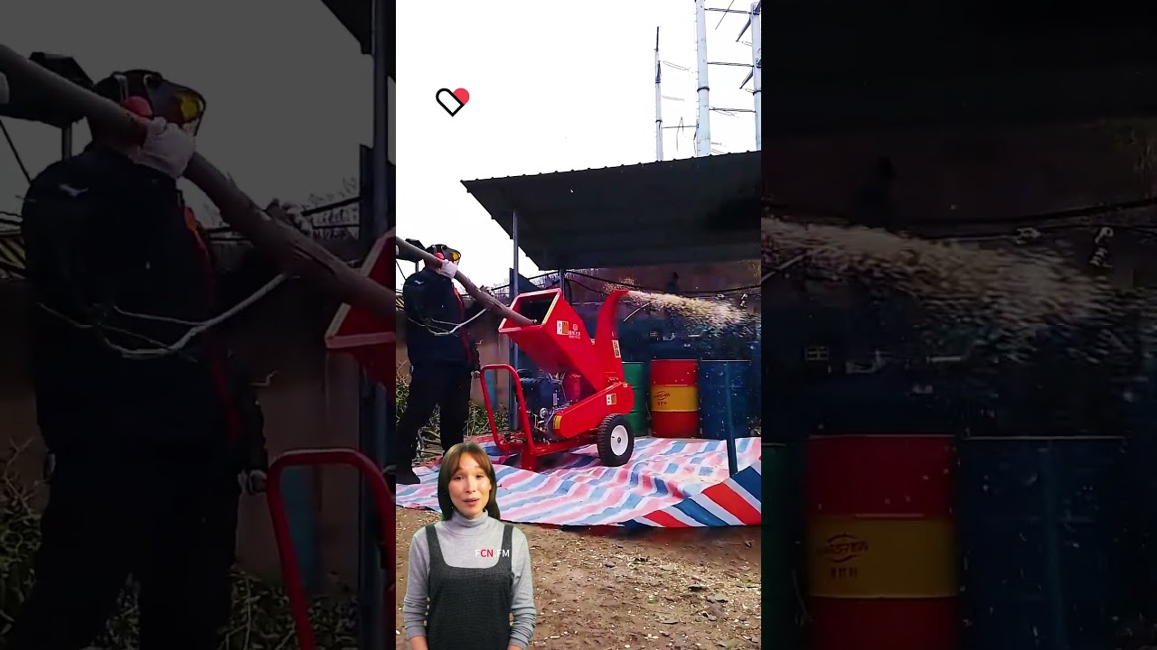 Security features of tree branch shredder 