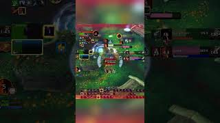 2v2 Arena Mage/Rogue vs Hunter/Ret WoW Rated PVP #worldofwarcraft #pvp #gaming #wowshorts #wowarena