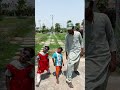 COW WALI ANAYA ki video 🤣 cow anaya ka purse lay gaye #cow #anaya