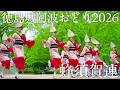 【阿波踊り2026】徳島城阿波おどり2026 蜂須賀連 気品と迫力が交差する圧巻の舞 | Awaodori in Tokushima, Japan