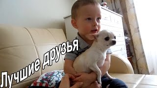 VLOG: Строгая я / Розеола / Рецепт плова