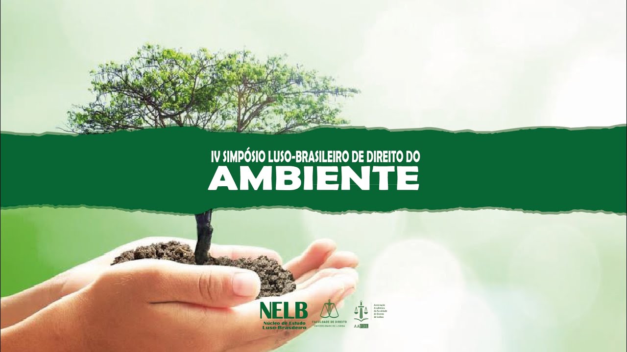 Como humedecer el ambiente