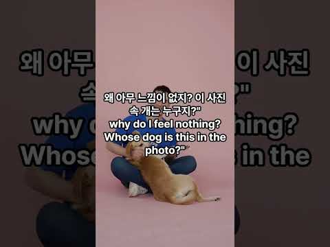 죽은 강아지 추억 팔아서 주식 대박 난 남자5화 He traded his dead dog's memory for stock tips 📈 (Shocking Twist)