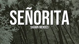 Shawn Mendes - Señorita (Lyrics) ft. Camila Cabello | Latin Love screenshot 5