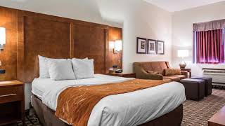 Comfort Suites Summerville - Summerville (South Carolina) - United States