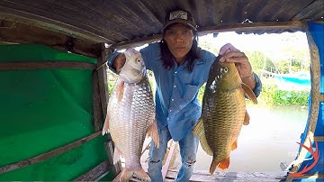 FISHING . SĂN CÁ CÓC,CÁ CHÉP KHỦNG (BÈ TÂN LỘC.THỐT NỐT)