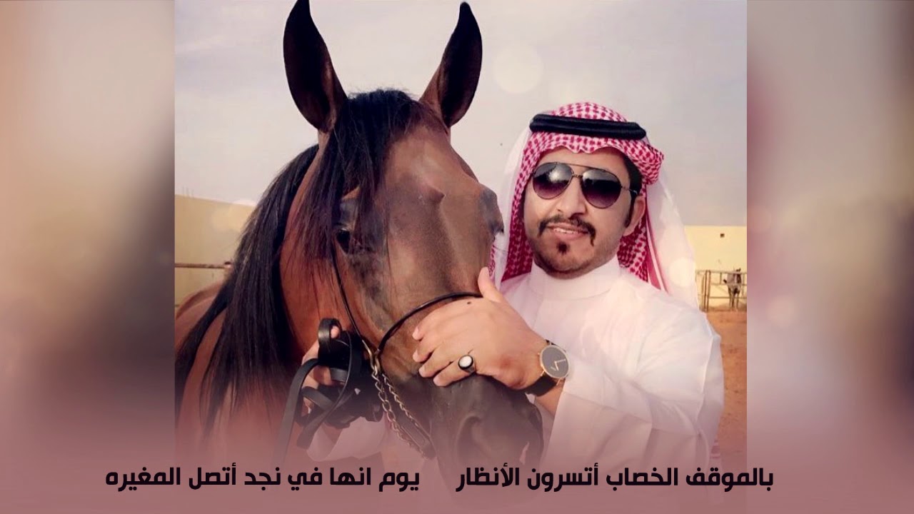 شيلة مهداة إلى الشيخ طلال ابن الحميدي ابن بتلا