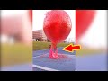 Balloon experiment with bottle shorts funny experiment by family booms
