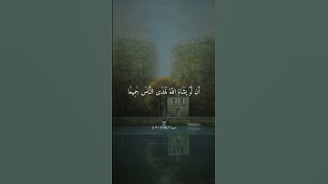 تلاوة خاشعة مريحة للقلب بصوت ماهر المعيقلي ارح سمعك #ماهر_المعيقلي #السعودية #مشاهير
